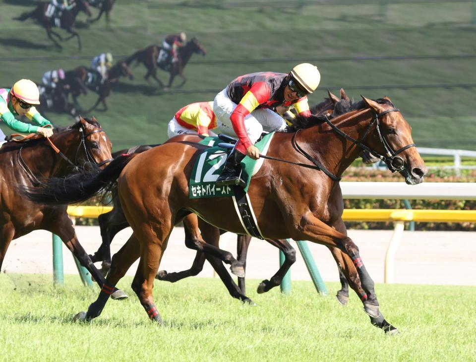 　抜け出したセキトバイースト