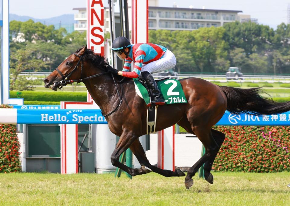 　しらさぎＳを制したキープカルム（撮影・石湯恒介）