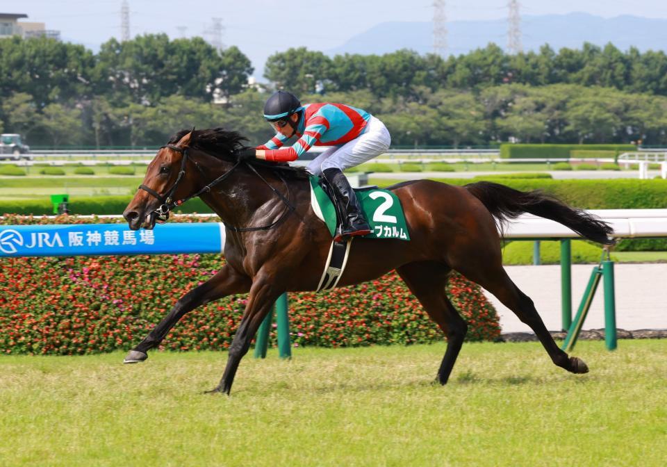 　しらさぎＳを制したキープカルム