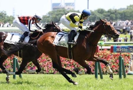 　外から差し切ったサノノグレーター（手前）