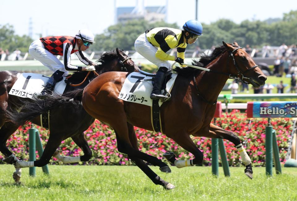 　外から差し切ったサノノグレーター（手前）