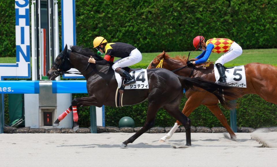 　新馬戦を快勝したシュテフィ（撮影・石湯恒介）