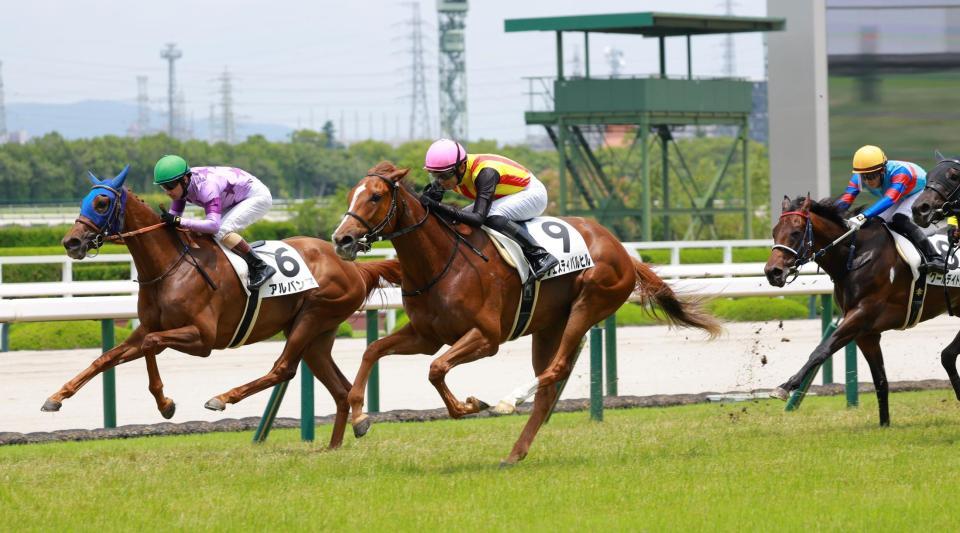 　新馬戦を快勝したフェスティバルヒル（中央）（撮影・石湯恒介）