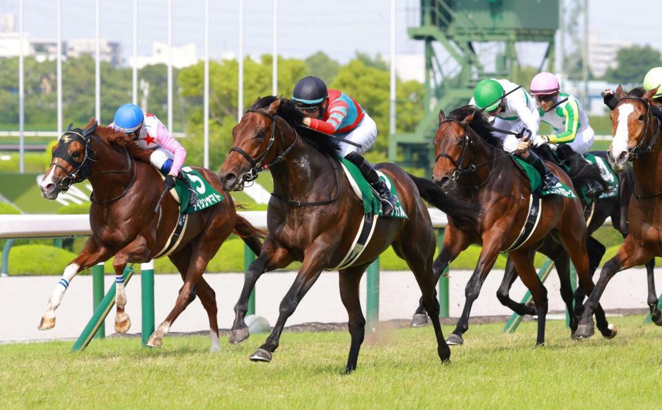 　馬群を割って抜け出るキープカルム（中央）＝撮影・石湯恒介