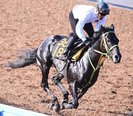 　実績最上位のフクノブルーレイク