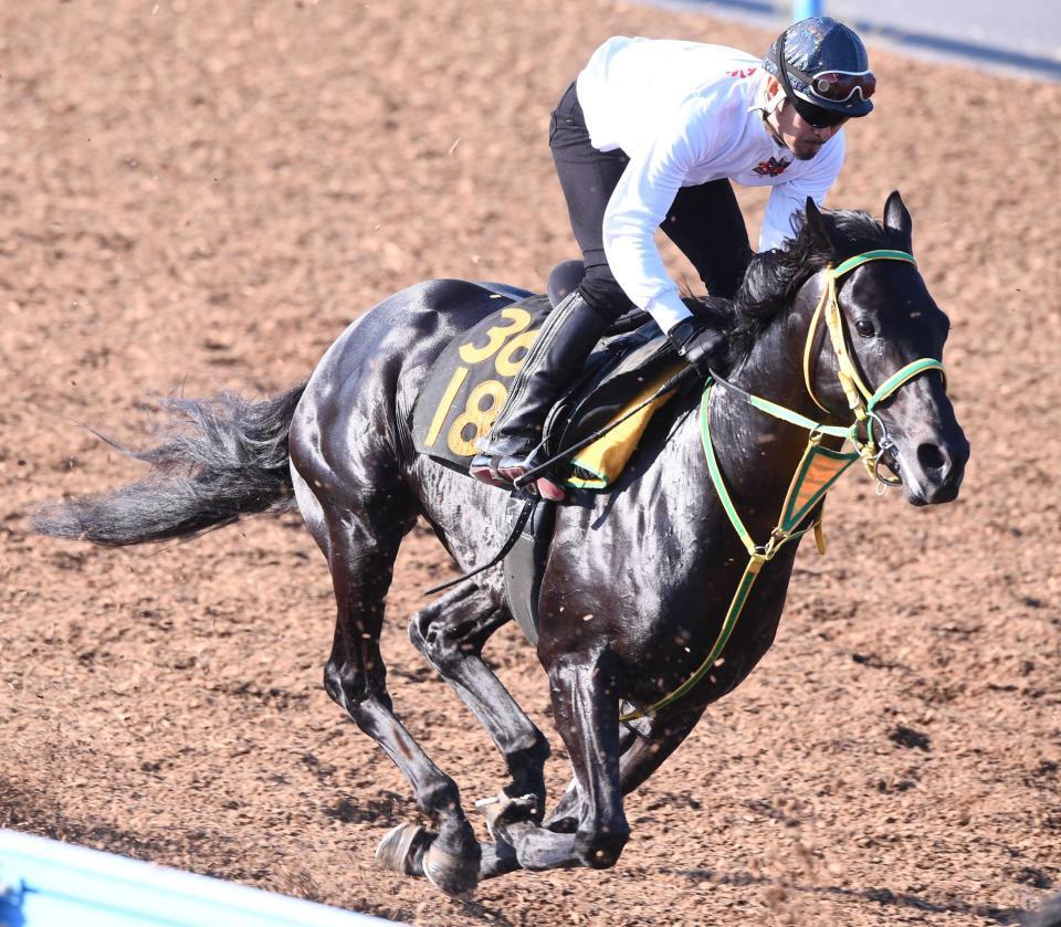 　実績最上位のフクノブルーレイク