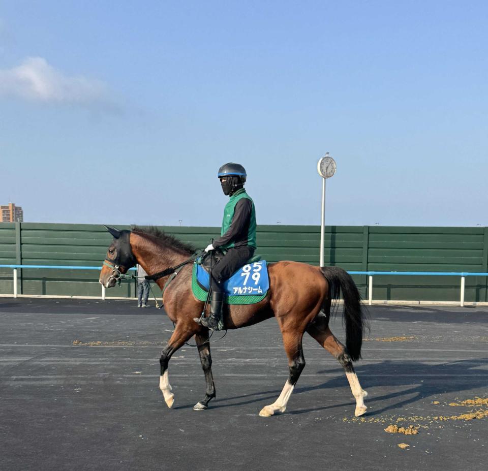 　重賞３勝目を狙うアルナシーム