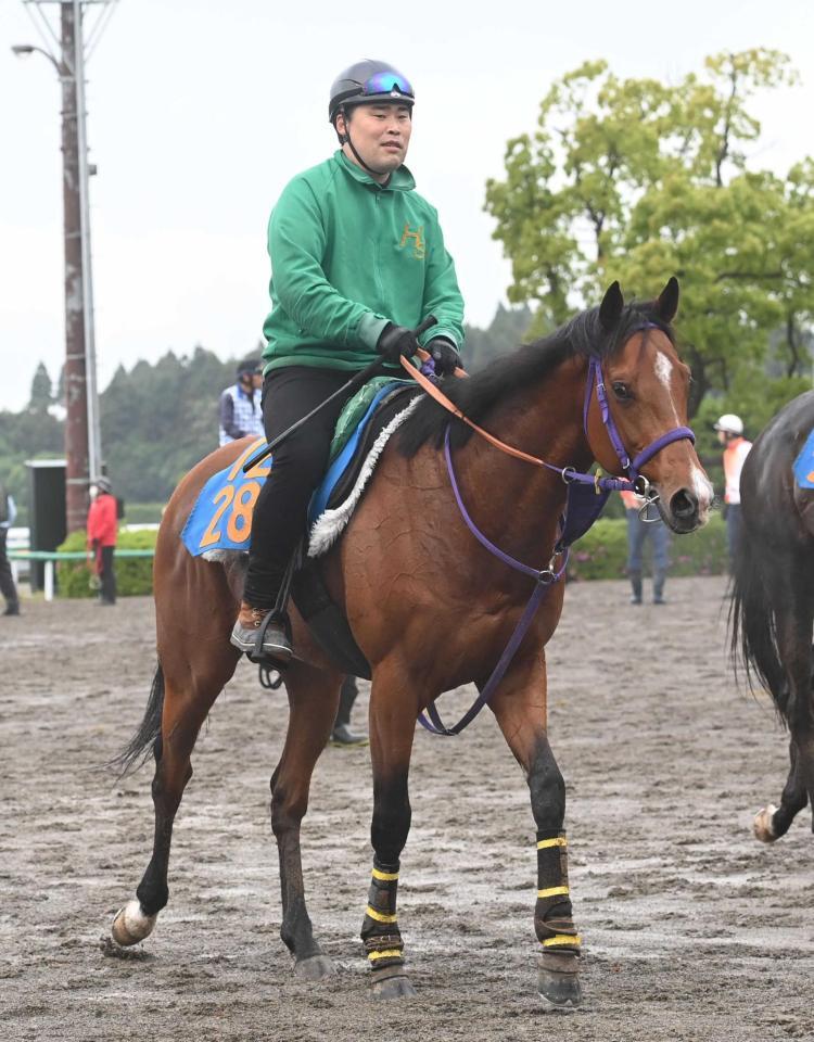 　データ班がイチ推しするディマイザキッド（撮影・園田高夫）
