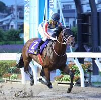 　さきたま杯を制したシャマルと川須