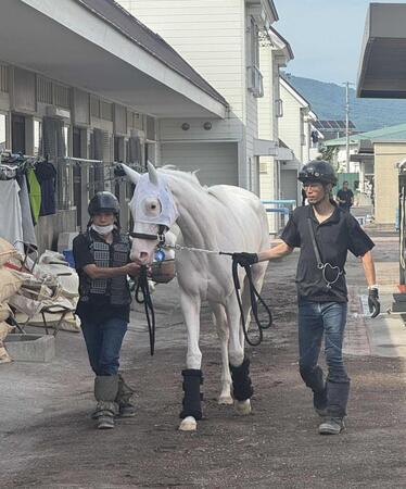 　デビューに向けて函館に入厩したマルガ
