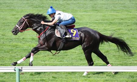 　横山武を背にびっしりと追われたハヤテノフクノスケ