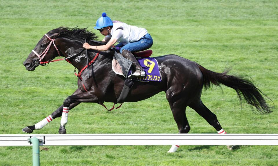 　横山武を背にびっしりと追われたハヤテノフクノスケ