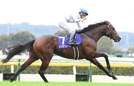 　天皇賞・秋を制したドウデュース＝２０２４年１０月２７日