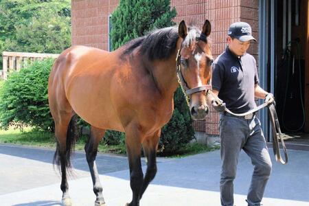 　種牡馬の仲間入りを果たしたドウデュース