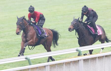 　昨年２着のリベンジに燃えているグランディア（左）