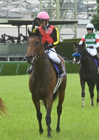 　宝塚記念で１１着に敗れたレガレイラ