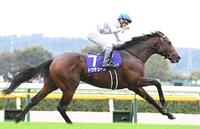 　天皇賞・秋を制したドウデュース＝２０２４年１０月２７日