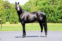 　堂々としたたたずまいを見せるイクイノックス