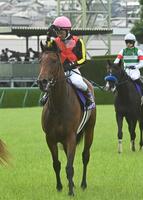 　宝塚記念で１１着に敗れたレガレイラ