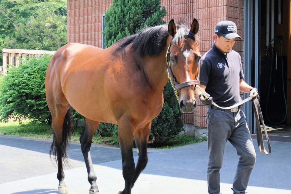　種牡馬の仲間入りを果たしたドウデュース