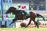 　コースレコードで函館記念を勝利したヴェローチェエラ