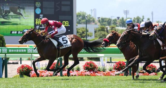 新馬戦】フィオラーノ力強く快勝 松本「とてもセンスのある次に