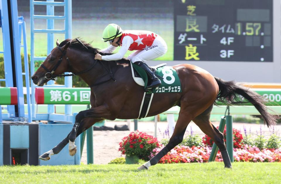　コースレコードで函館記念を勝利したヴェローチェエラ