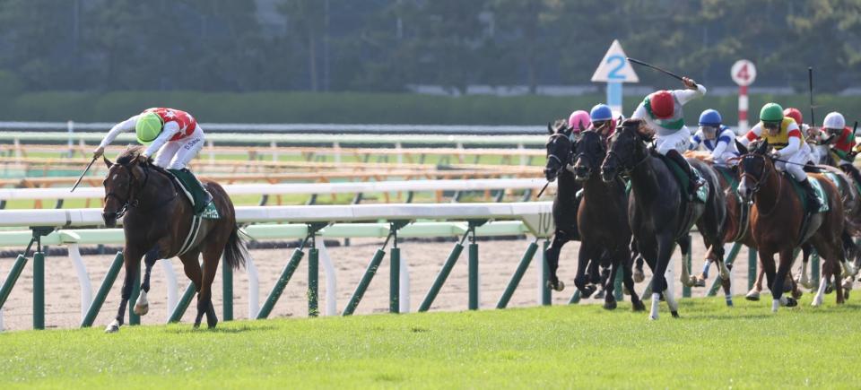 　早め先頭で後続を突き放すヴェローチェエラ（左）