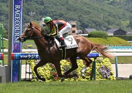 　新馬戦を制したロスパレドネス（撮影・持木克友）