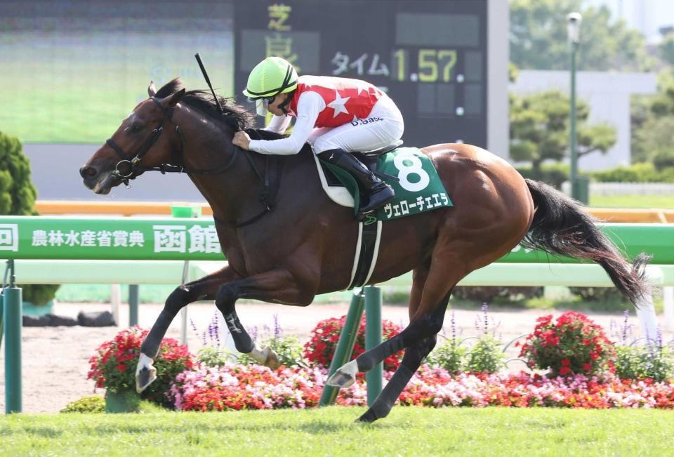 　レコードで函館記念を勝利したヴェローチェエラ