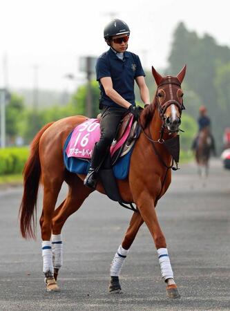 　データ班が猛プッシュするアブキールベイ