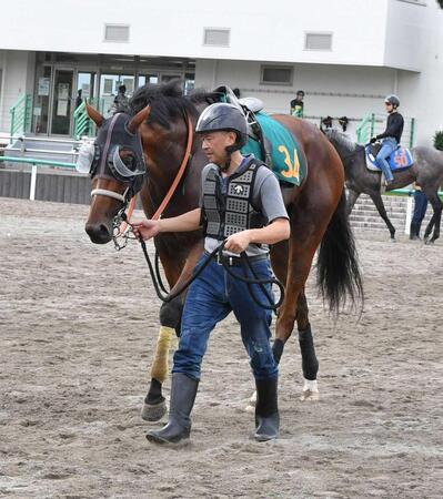　Ｖ発進を狙う良血馬タイダルロック