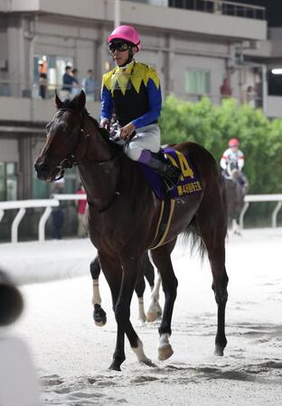 　３着に沈んだノットゥルノと武豊