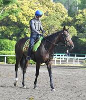 　牡馬１位にランクインしたダノンヒストリー