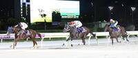 　帝王賞を制したミッキーファイトとルメール（左端）