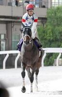 　２着に敗れたアウトレンジ