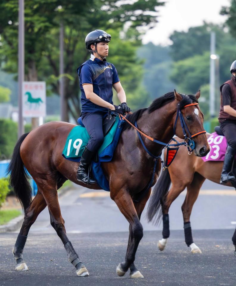 　新種牡馬キセキ産駒のサイン