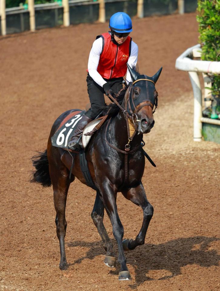 　古馬相手に重賞初制覇を狙うクラスペディア