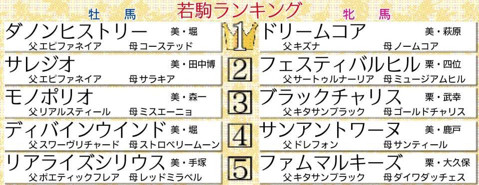 　２５年初となる２歳馬格付けチェック