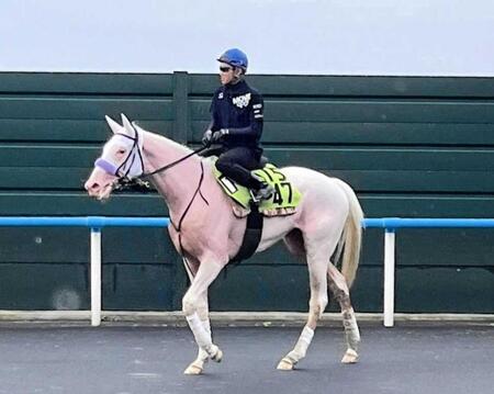 　初コンタクトを終え、引き揚げてきたマルガと武豊＝函館競馬場