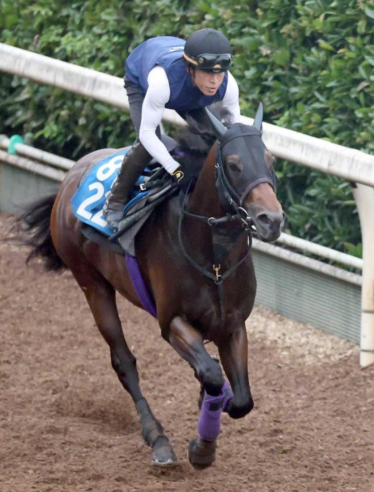 　好気配が漂うロードフォアエース