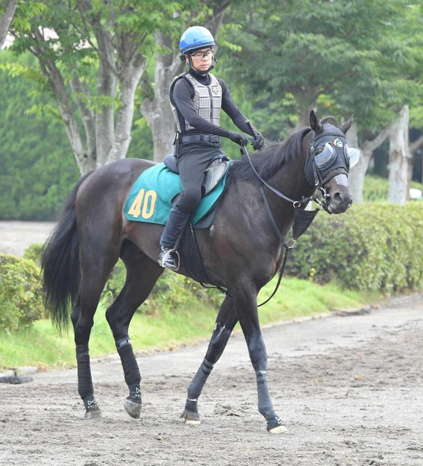　鋭い動きを見せるラディアントスター
