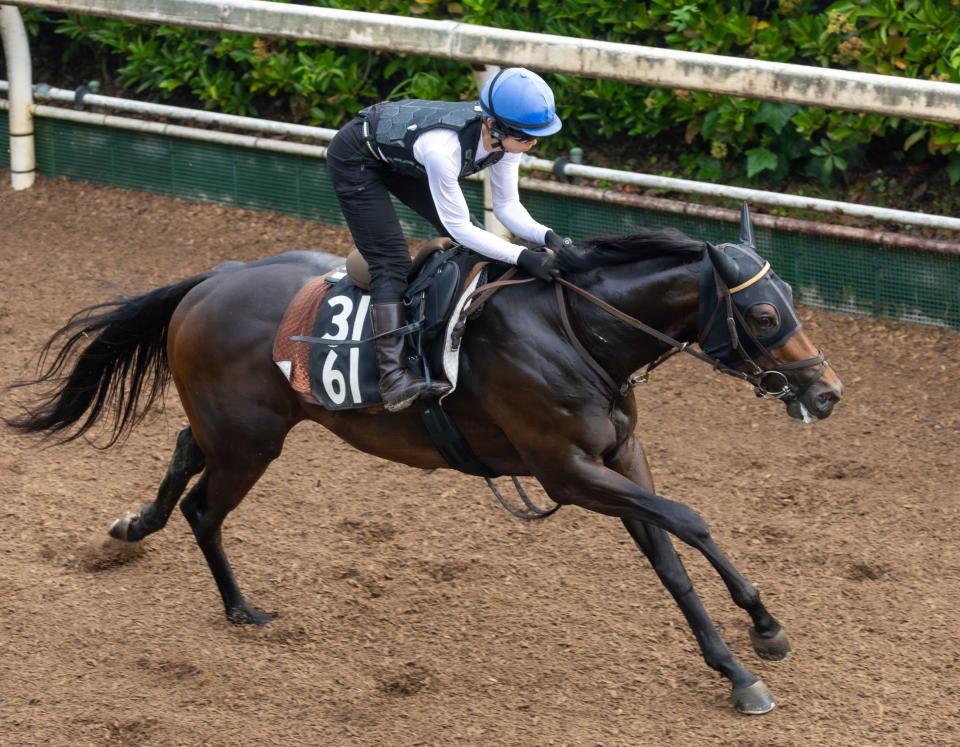 　小崎とのコンビで重賞初Ｖを狙うクラスペディア