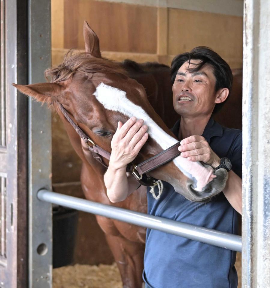 　帝王賞を制し、芳野厩務員から労われるミッキーファイト（撮影・持木克友）