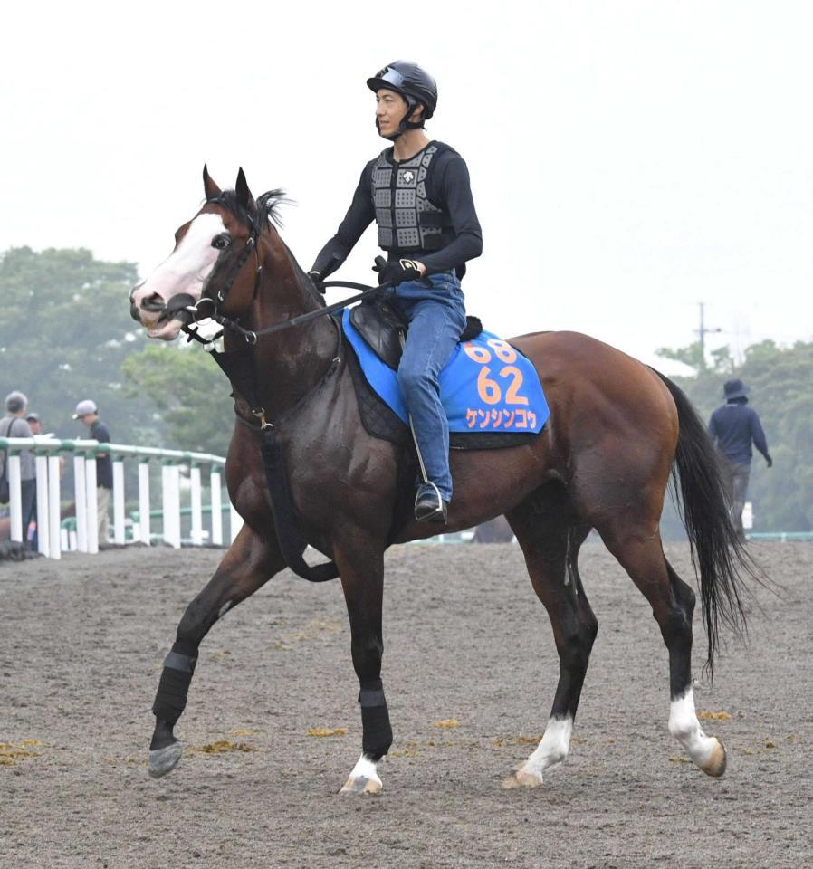 　得意のレースで復活を目指す“ブサカワ”ケンシンコウ