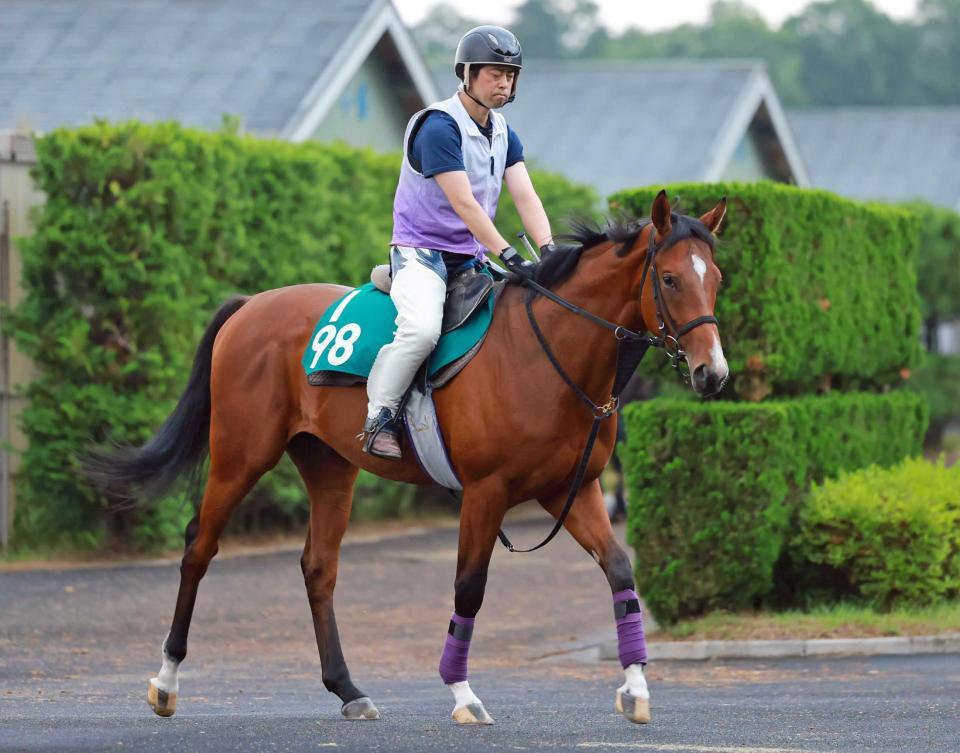 　厩舎ゆかりの血統馬コロナドブリッジ