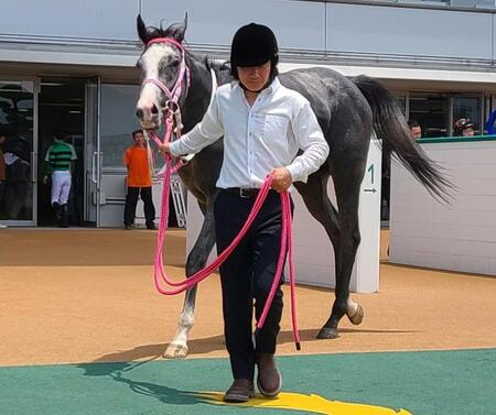 　初陣を飾ったキャンディード