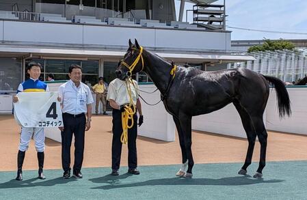 珍名馬ココデイックが初勝利！　馬名由来は