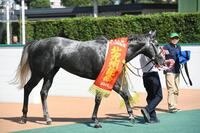 　北九州記念を制したヤマニンアルリフラ