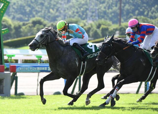 北九州記念】1番人気のヤマニンアルリフラが重賞初挑戦初V 団野